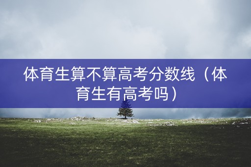 体育生算不算高考分数线（体育生有高考吗）