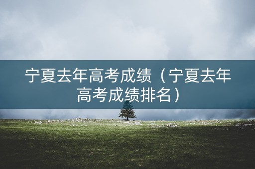 宁夏去年高考成绩（宁夏去年高考成绩排名）