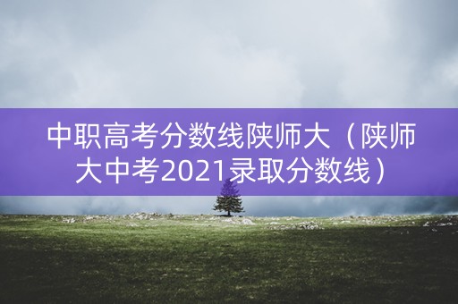 中职高考分数线陕师大（陕师大中考2021录取分数线）