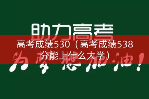 高考成绩530（高考成绩538分能上什么大学）