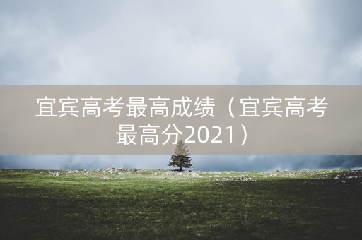 宜宾高考最高成绩（宜宾高考最高分2021）