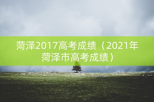 菏泽2017高考成绩（2021年菏泽市高考成绩）