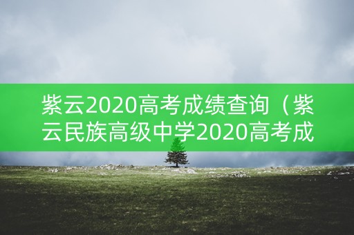 紫云2020高考成绩查询（紫云民族高级中学2020高考成绩）