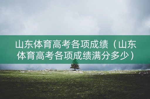 山东体育高考各项成绩(山东体育高考各项成绩满分多少) 山东体育高考各项成绩(山东体育高考各项成绩满分多少)