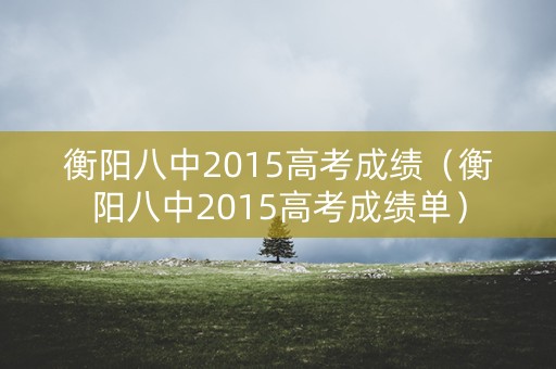 衡阳八中2015高考成绩（衡阳八中2015高考成绩单）