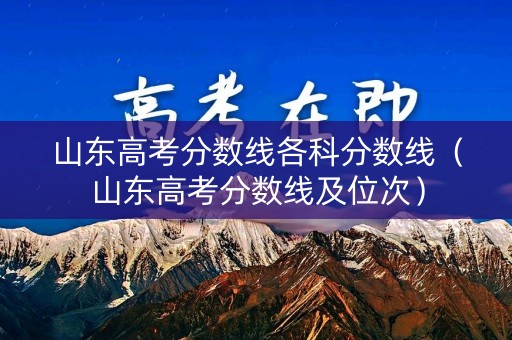 山东高考分数线各科分数线（山东高考分数线及位次）