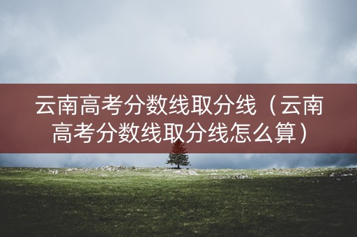 云南高考分数线取分线(云南高考分数线取分线怎么算) 云南高考分数线取分线(云南高考分数线取分线怎么算)