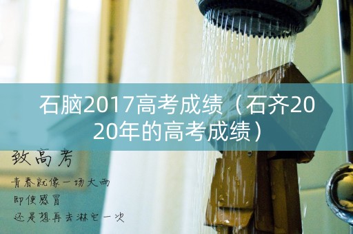 石脑2017高考成绩（石齐2020年的高考成绩）
