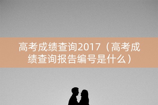 高考成绩查询2017（高考成绩查询报告编号是什么）