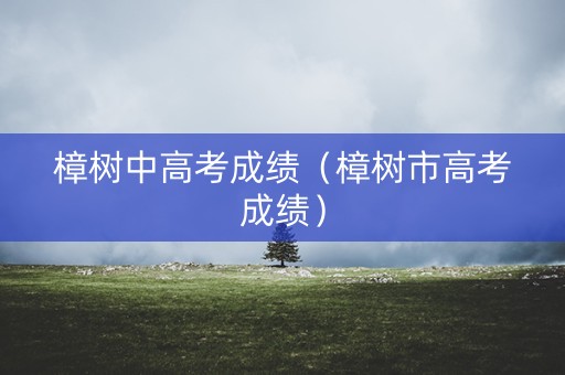 樟树中高考成绩（樟树市高考成绩）