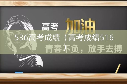 536高考成绩（高考成绩516）