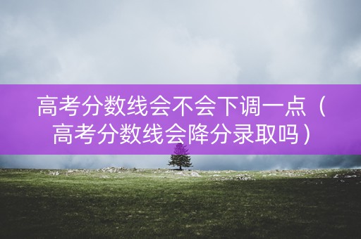高考分数线会不会下调一点(高考分数线会降分录取吗) 高考分数线会不会下调一点(高考分数线会降分录取吗)
