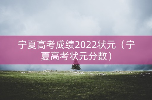 宁夏高考成绩2022状元（宁夏高考状元分数）