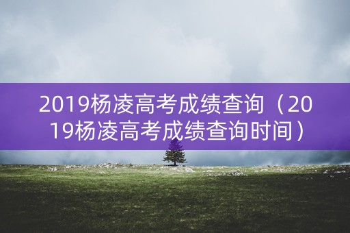 2019杨凌高考成绩查询（2019杨凌高考成绩查询时间）