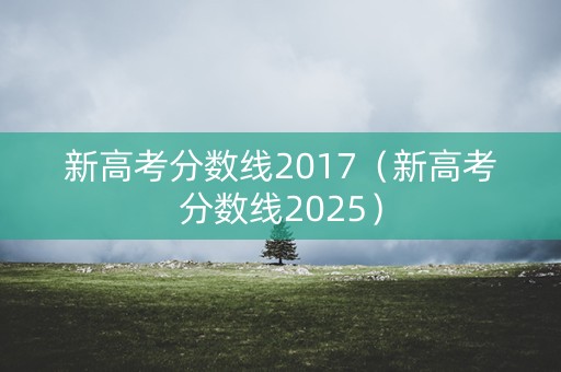 新高考分数线2017（新高考分数线2025）