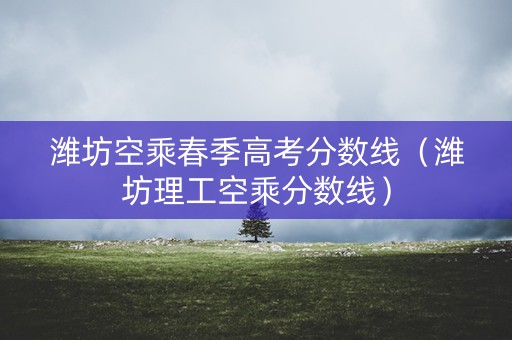 潍坊空乘春季高考分数线（潍坊理工空乘分数线）
