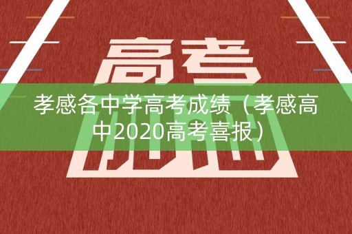 孝感各中学高考成绩（孝感高中2020高考喜报）