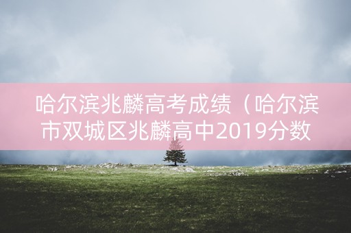 哈尔滨兆麟高考成绩（哈尔滨市双城区兆麟高中2019分数线）