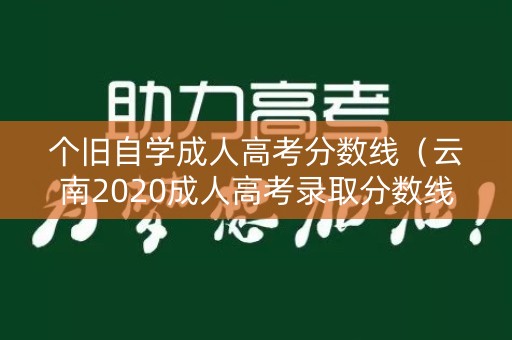 个旧自学成人高考分数线（云南2020成人高考录取分数线）