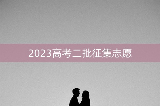 2023高考二批征集志愿