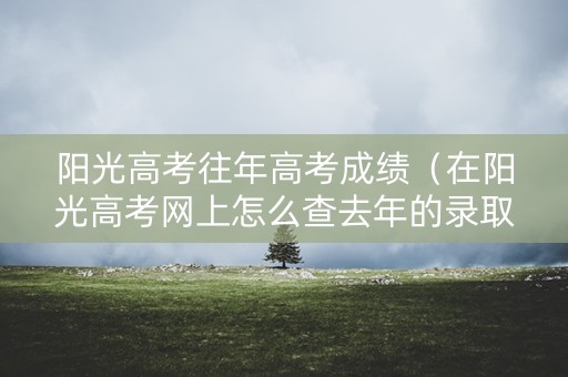 阳光高考往年高考成绩（在阳光高考网上怎么查去年的录取分）
