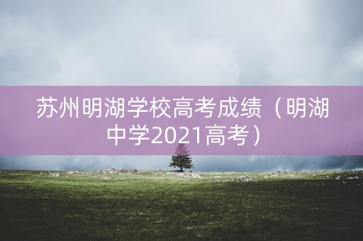 苏州明湖学校高考成绩（明湖中学2021高考）