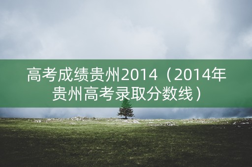 高考成绩贵州2014（2014年贵州高考录取分数线）