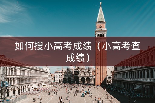 如何搜小高考成绩（小高考查成绩）