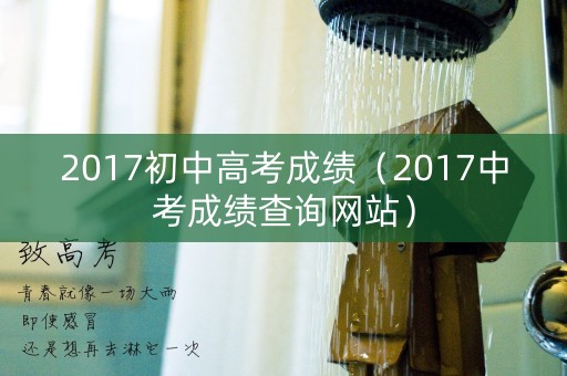 2017初中高考成绩（2017中考成绩查询网站）