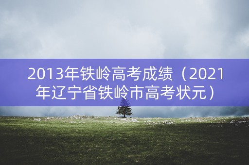 2013年铁岭高考成绩（2021年辽宁省铁岭市高考状元）