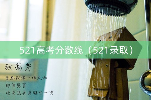 521高考分数线（521录取）