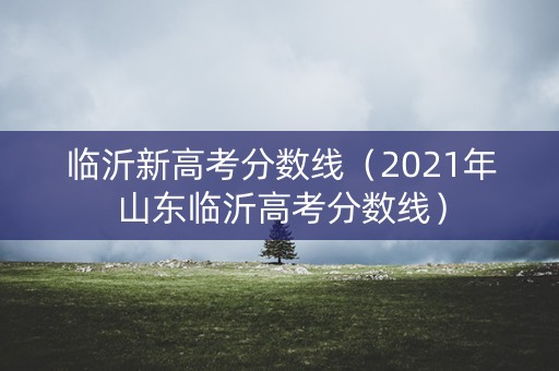 临沂新高考分数线（2021年山东临沂高考分数线）