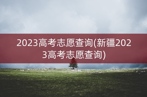 2023高考志愿查询(新疆2023高考志愿查询)