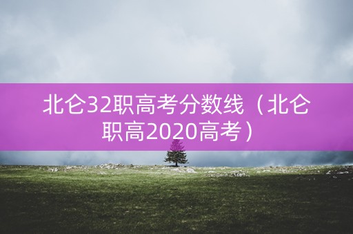 北仑32职高考分数线（北仑职高2020高考）