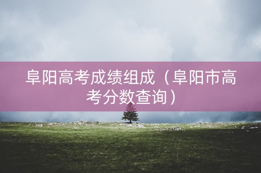 阜阳高考成绩组成（阜阳市高考分数查询）