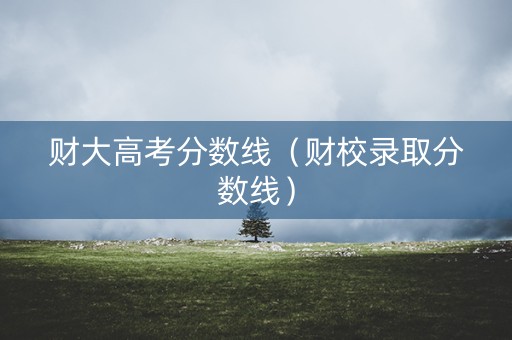 财大高考分数线（财校录取分数线）