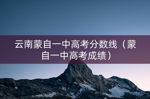 云南蒙自一中高考分数线（蒙自一中高考成绩）