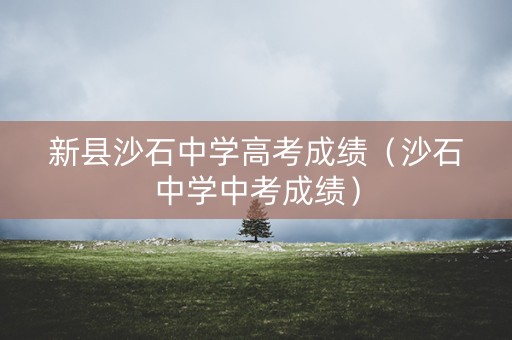新县沙石中学高考成绩（沙石中学中考成绩）