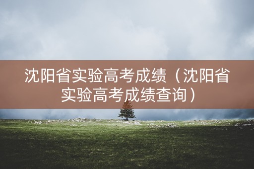 沈阳省实验高考成绩（沈阳省实验高考成绩查询）