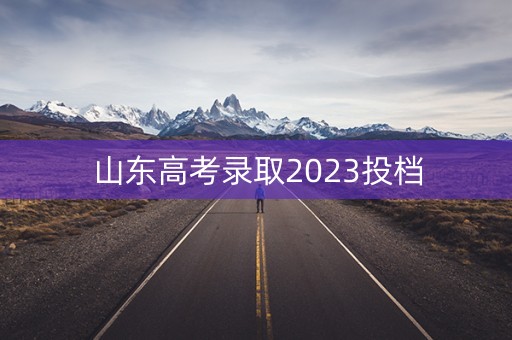 山东高考录取2023投档