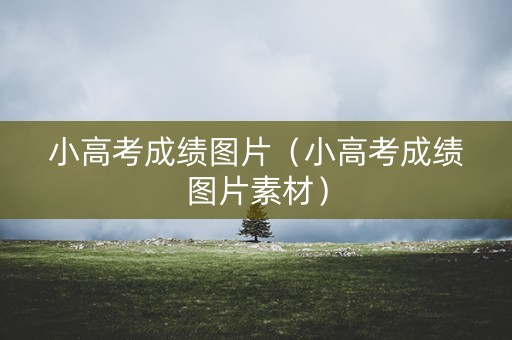 小高考成绩图片（小高考成绩图片素材）