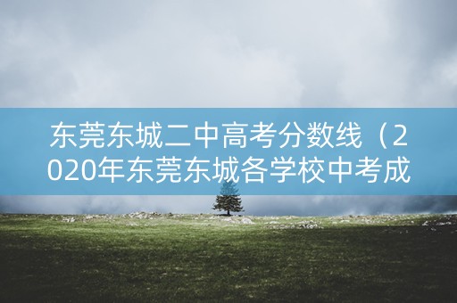 东莞东城二中高考分数线（2020年东莞东城各学校中考成绩）