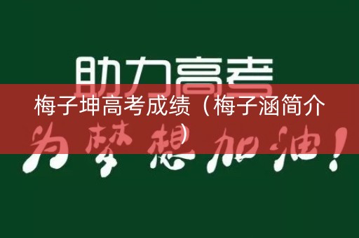 梅子坤高考成绩（梅子涵简介）