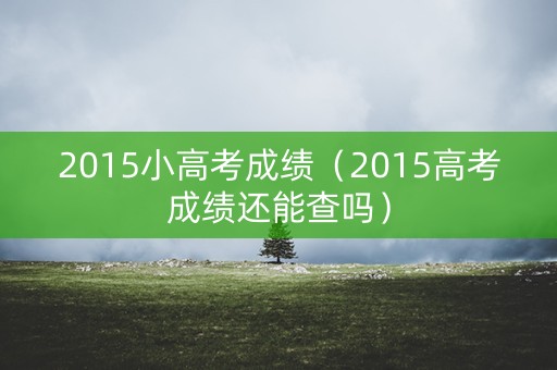 2015小高考成绩（2015高考成绩还能查吗）