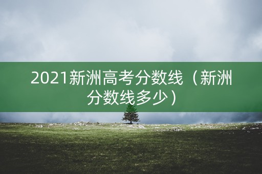 2021新洲高考分数线（新洲分数线多少）