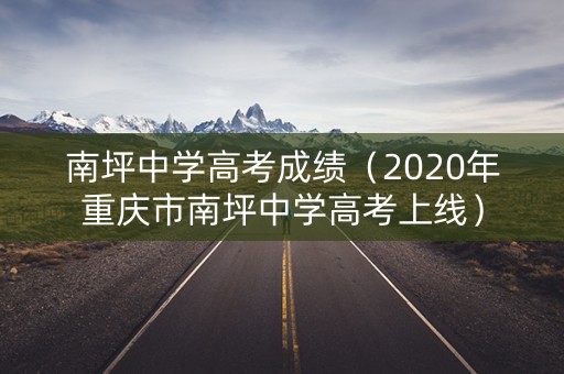 南坪中学高考成绩（2020年重庆市南坪中学高考上线）