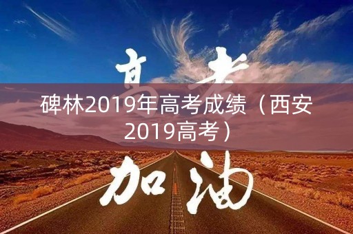 碑林2019年高考成绩（西安2019高考）