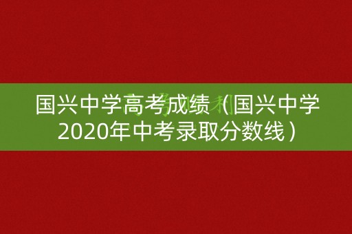 国兴中学高考成绩（国兴中学2020年中考录取分数线）