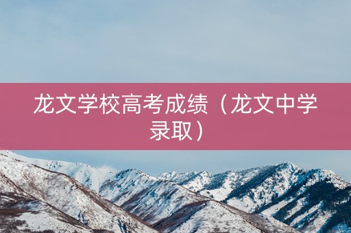 龙文学校高考成绩（龙文中学录取）