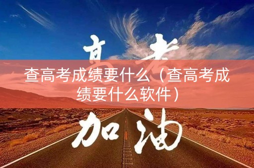 查高考成绩要什么（查高考成绩要什么软件）